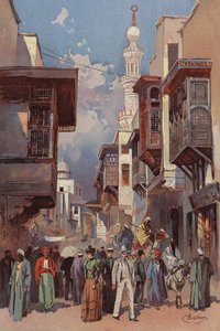 Cairo Street by American School